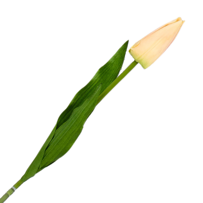 [w04150] Tulipan na gałązce 50cm brzoskwiniowy