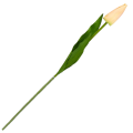 [w04150] Tulipan na gałązce 50cm brzoskwiniowy