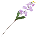 [w04128] Storczyk satynowy gałązka 75cm lawendowy
