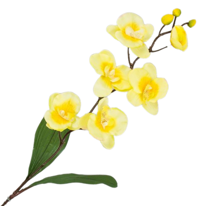 [w04131] Storczyk satynowy gałązka 75cm pastelowo-żółty