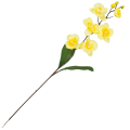[w04131] Storczyk satynowy gałązka 75cm pastelowo-żółty