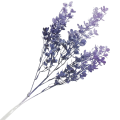 [680772] Gałązka ozdobna drobne kwiatuszki lawendowe