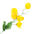 [680766] Gałązka kwiatowa kamelia żółta
