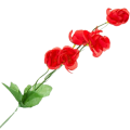 [680767] Gałązka kwiatowa kamelia czerwona