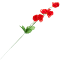 [680767] Gałązka kwiatowa kamelia czerwona
