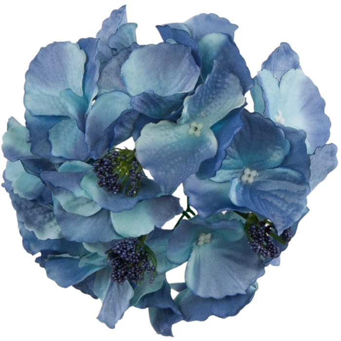 [608257] Główka kwiatowa hortensja niebieska