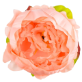 [w03012] Główka kwiatowa peonia duża 9cm łososiowa