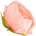 [w03012] Główka kwiatowa peonia duża 9cm łososiowa