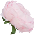 [w03015] Główka kwiatowa peonia duża 12cm jasnoróżowa