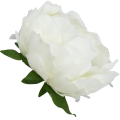 [w03013] Główka kwiatowa peonia duża 12cm ecru