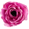 [w04162] Róża główka 9cm różowa cieniowana