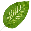[680797] Liść dekoracyjny nr 16 jasnozielony z jaśniejszym środkiem 47cm