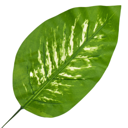 [680797] Liść dekor nr 16 jasnozielony jaśniejszy środek 47cm