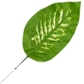 [680797] Liść dekoracyjny nr 16 jasnozielony z jaśniejszym środkiem 47cm