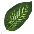 [680798] Liść dekoracyjny nr 17 ciemnozielony z jaśniejszym środkiem 47cm