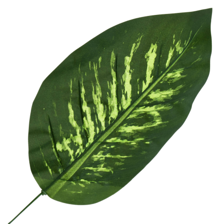 [680798] Liść dekor nr 17 ciemnozielony jaśniejszy środek 47cm