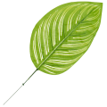 [680799] Liść dekoracyjny nr 18 jasnozielony 48cm