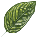 [680800] Liść dekoracyjny nr 19 ciemnozielony 48cm