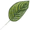 [680800] Liść dekoracyjny nr 19 ciemnozielony 48cm