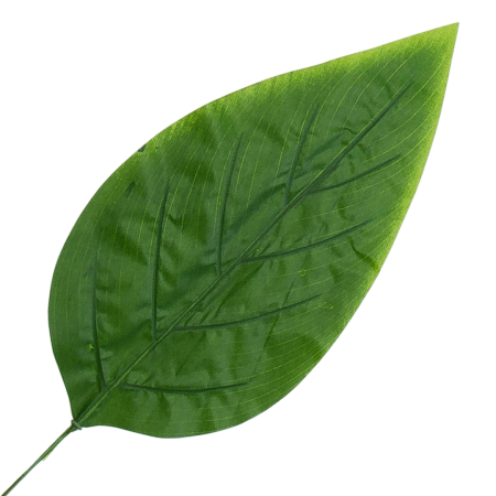 [680801] Liść dekoracyjny nr 20 zielony 66cm