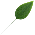 [680801] Liść dekoracyjny nr 20 zielony 66cm