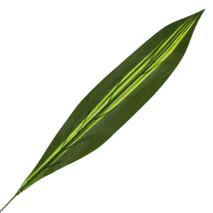 [680802] Liść draceny ciemnozielony 63cm
