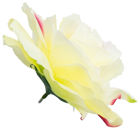 [w04157] Róża główka 13cm kremowa z różem i zielonym