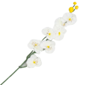 [w04178] Storczyk drobny satynowy gałązka 70cm kremowobiały