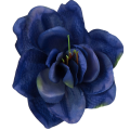 [w04183] Główka kwiatowa clivia 15-16cm atramentowa cieniowana