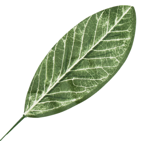 [680826] Liść dekoracyjny nr 21 ciemnozielony 49cm