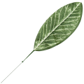 [680826] Liść dekoracyjny nr 21 ciemnozielony 49cm