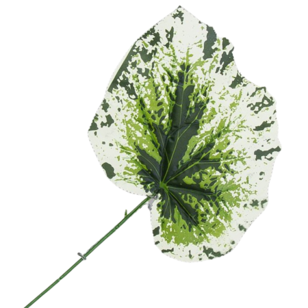 [680827] Liść ozdobny begonii 48cm