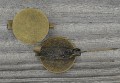 10202 Klasyczna baza broszki w kolorze brązu na kaboszon 15mm