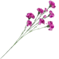 [w0564] Gałązka kwiatowa goździk satynowy 72cm jasny purpurowy