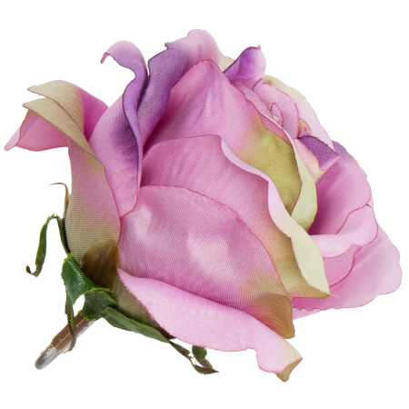 [w04208] Róża główka 9cm różowa cieniowana na fioletowo i zielono