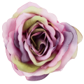 [w04208] Róża główka 9cm różowa cieniowana na fioletowo i zielono
