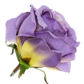 [w04212] Róża główka 9cm lawendowo-żółta