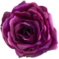 [w04215] Róża główka 9cm ciemnofioletowa
