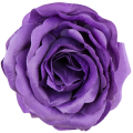 [w04213] Róża główka 9cm fioletowa