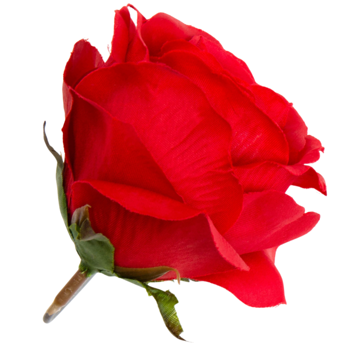 [w04216] Róża główka 9cm czerwona