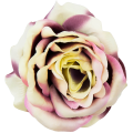 [w04209] Róża główka 9cm śliwkowo-żółta