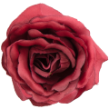 [w04217] Róża główka 9cm bordowa