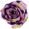 [w04211] Róża główka 9cm wrzosowa cieniowana na fioletowo i zielono