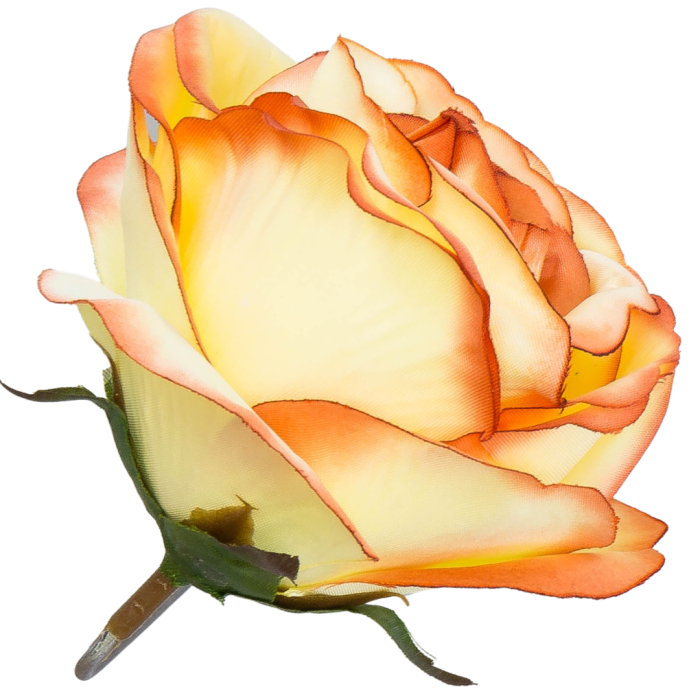 [w04205] Róża główka 9cm żółto-kremowa  podpalana