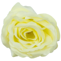 [w04191] Róża główka 9cm bladożółta