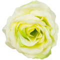 [w04193] Róża główka 9cm kremowo-żółta cieniowana na zielono