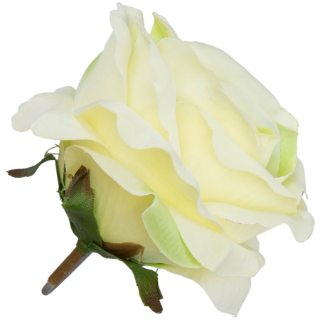 [w04193] Róża główka 9cm kremowo-żółta cieniowana na zielono