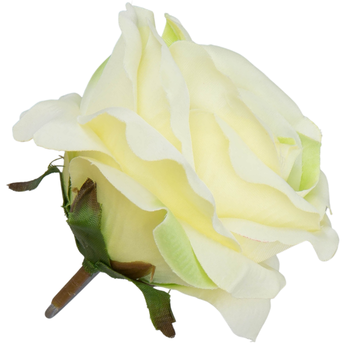 [w04193] Róża główka 9cm kremowo-żółta cieniowana na zielono