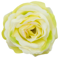 [w04194] Róża główka 9cm kremowo-żółta cieniowana na różowo i zielono