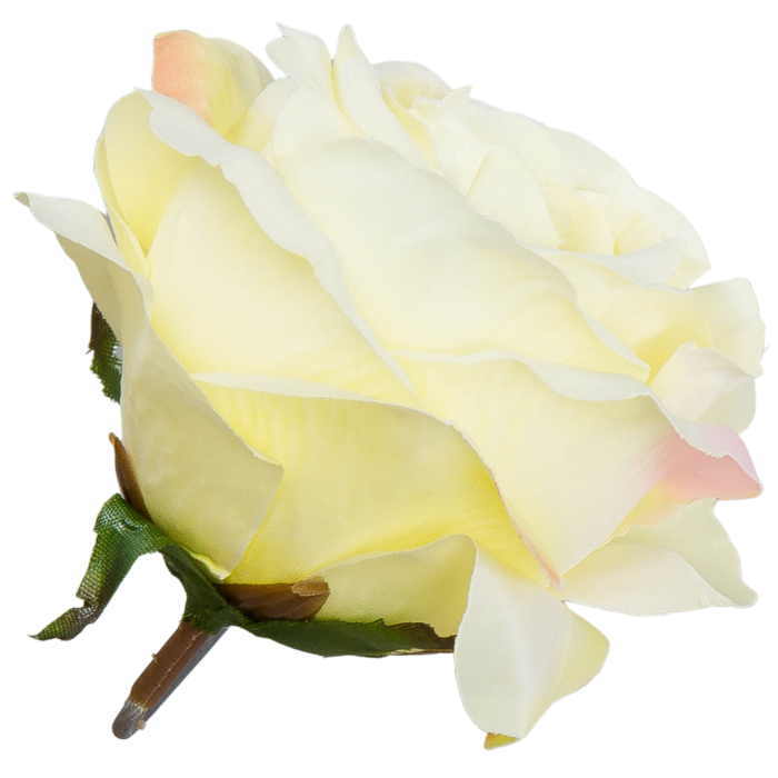 [w04195] Róża główka 9cm kremowo-żółta cieniowana na różowo